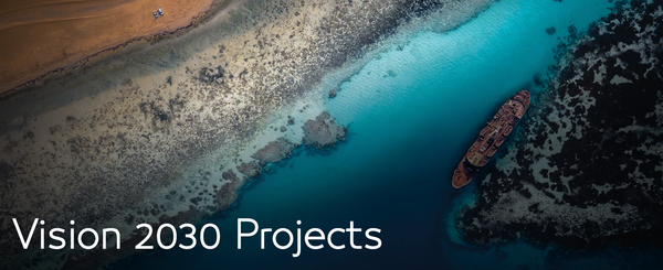 Navigating the Strategic Landscape: An In-Depth Review of Public Investment Funds 2023 Performance